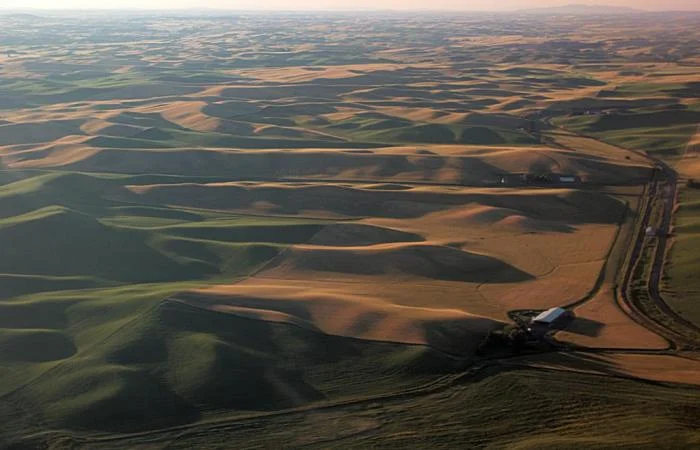 886_palouse-2166.jpg