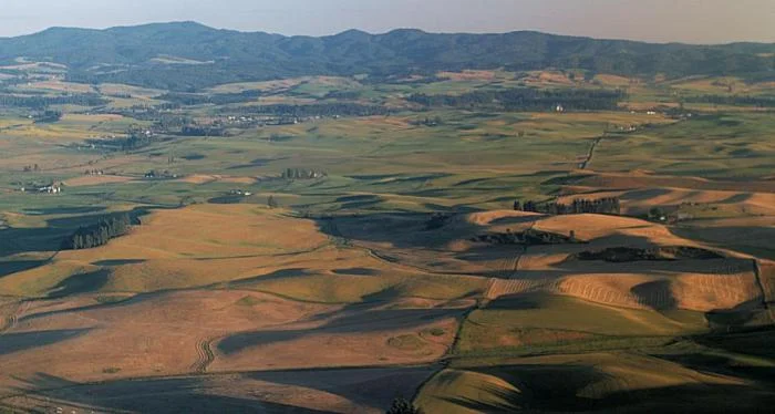 887_palouse-2174.jpg