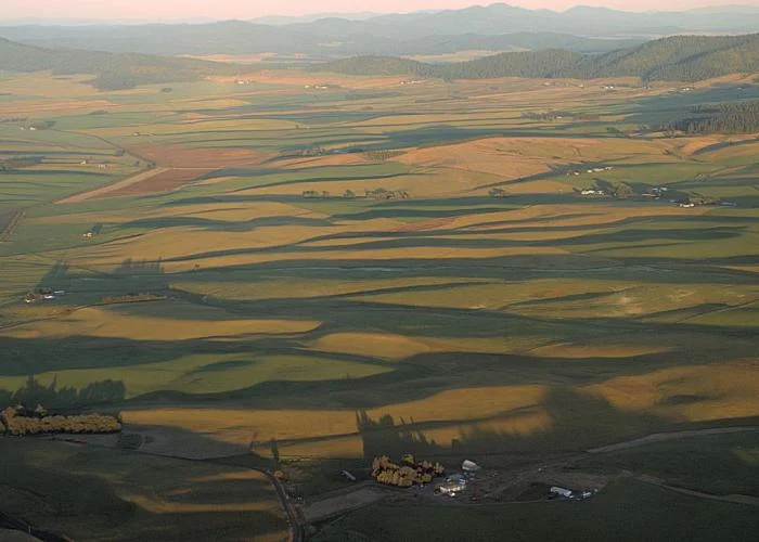 888_palouse-2186.jpg