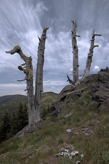 Grandmother Mountain 
