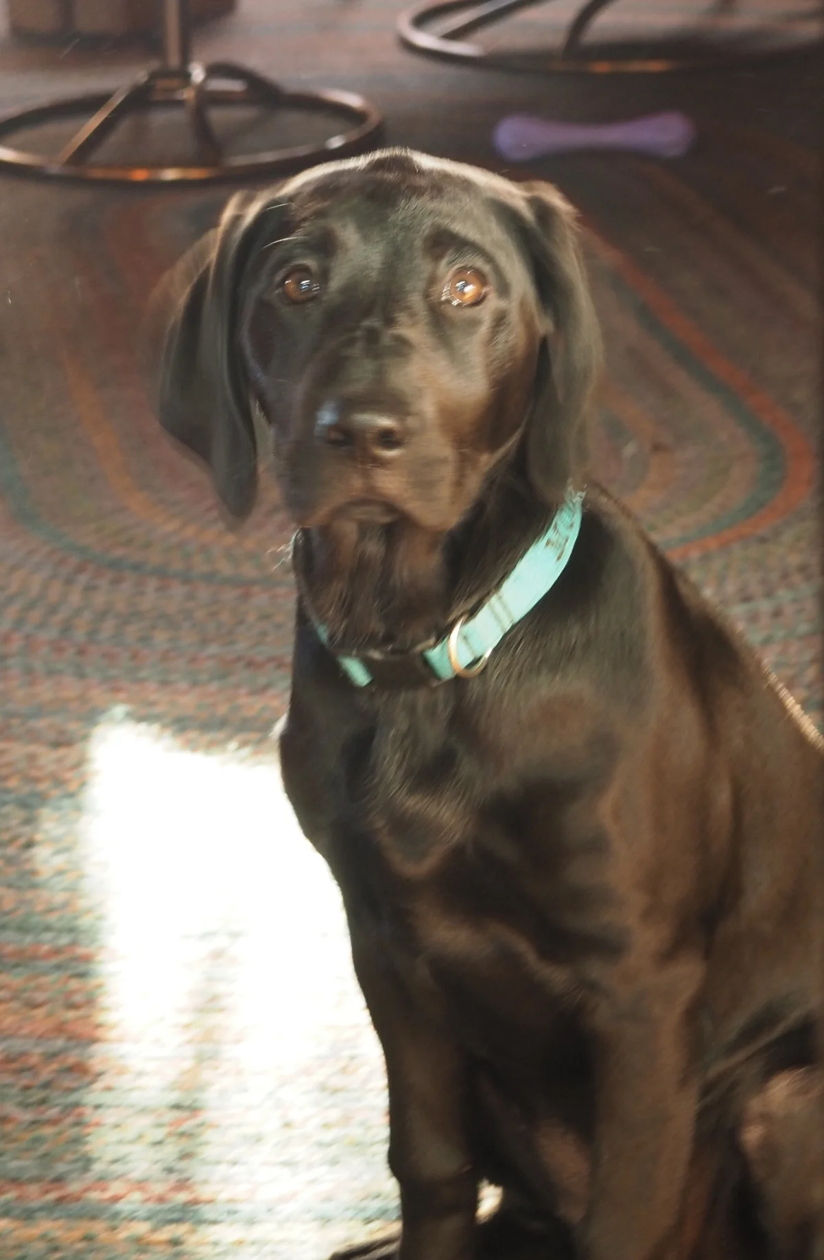 Let's go for a walk!