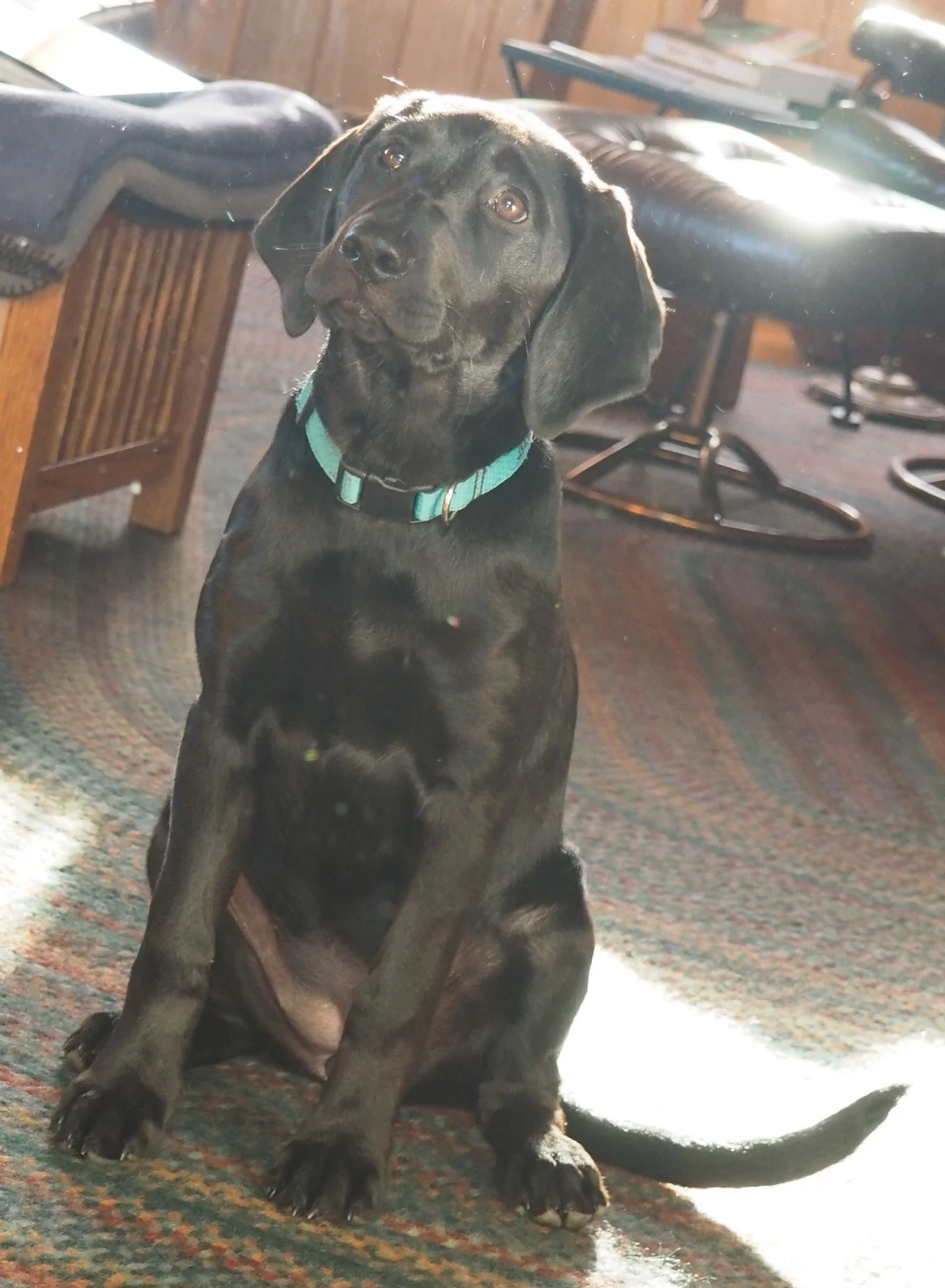 Hurry up already! Walk time.