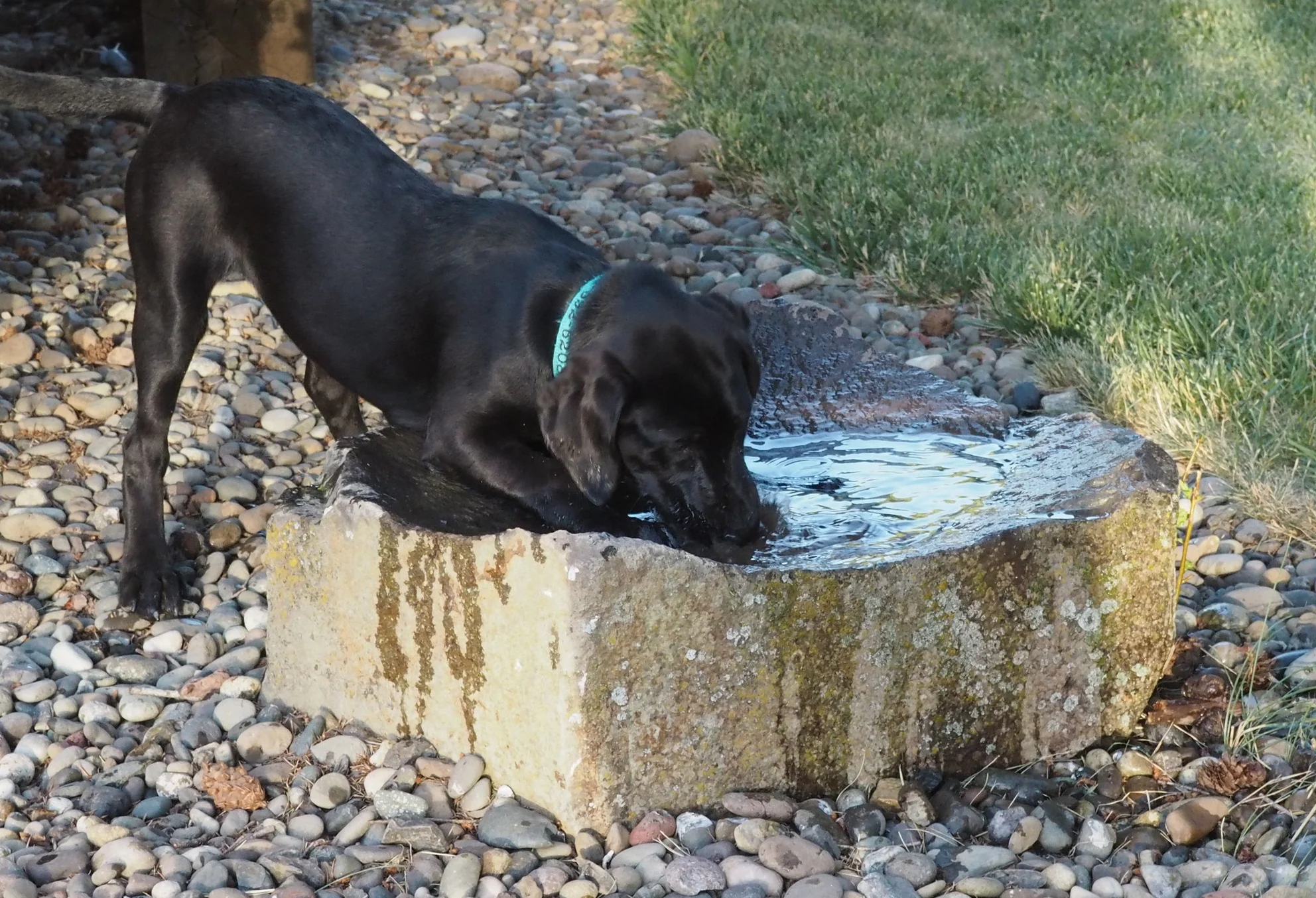 "My new favorite thing, splashing all the water out of the rock" 