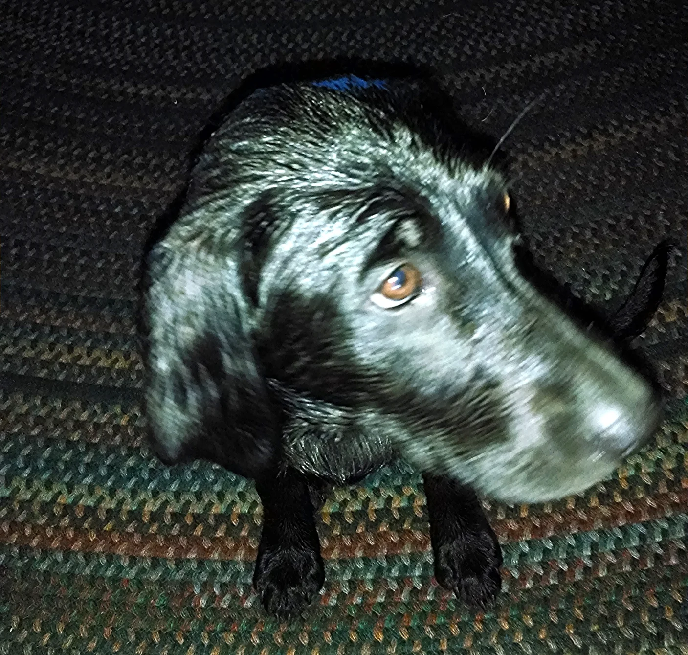 "Why did we have to stop playing with the hose?"