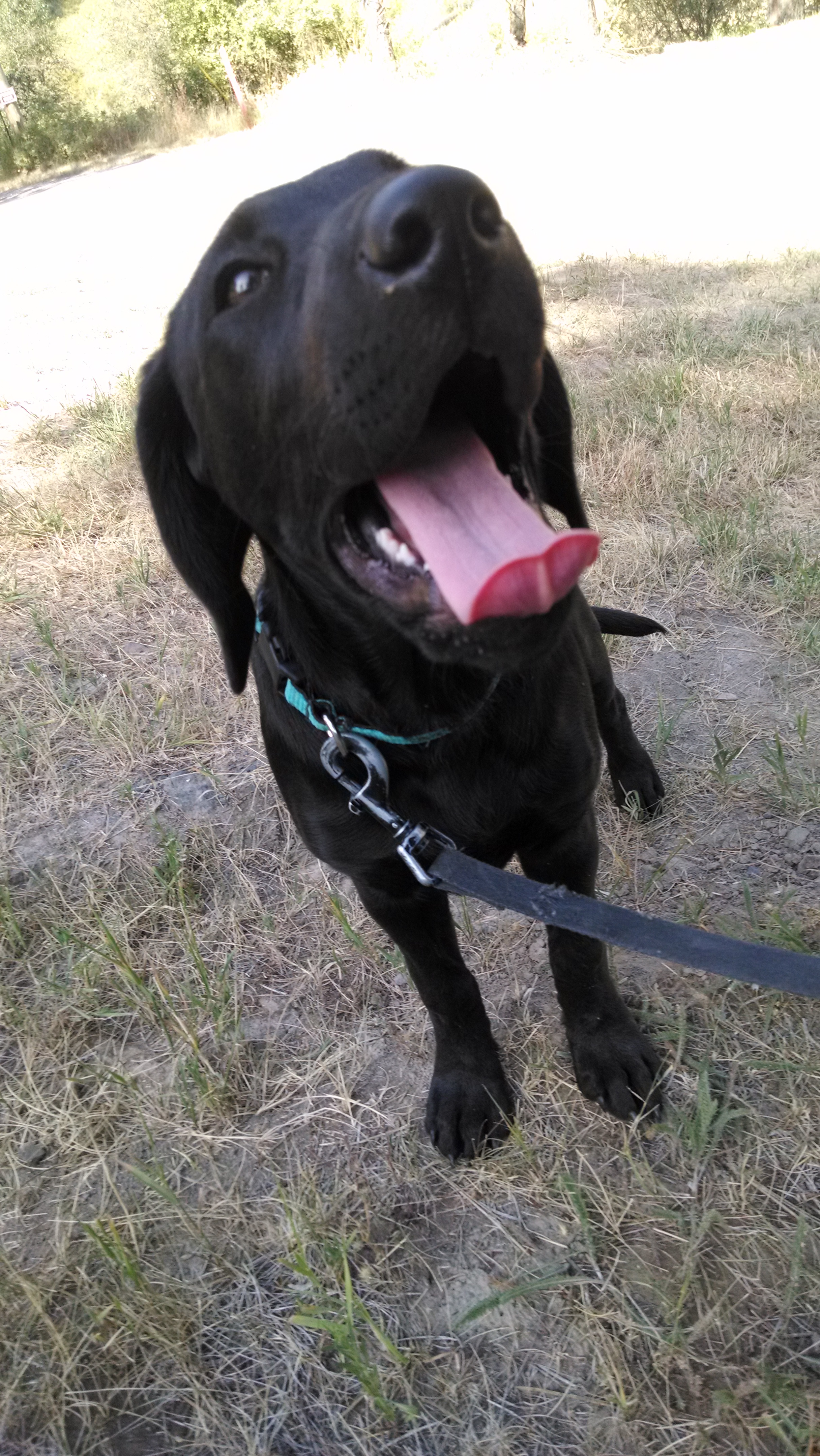 I'm thirsty!