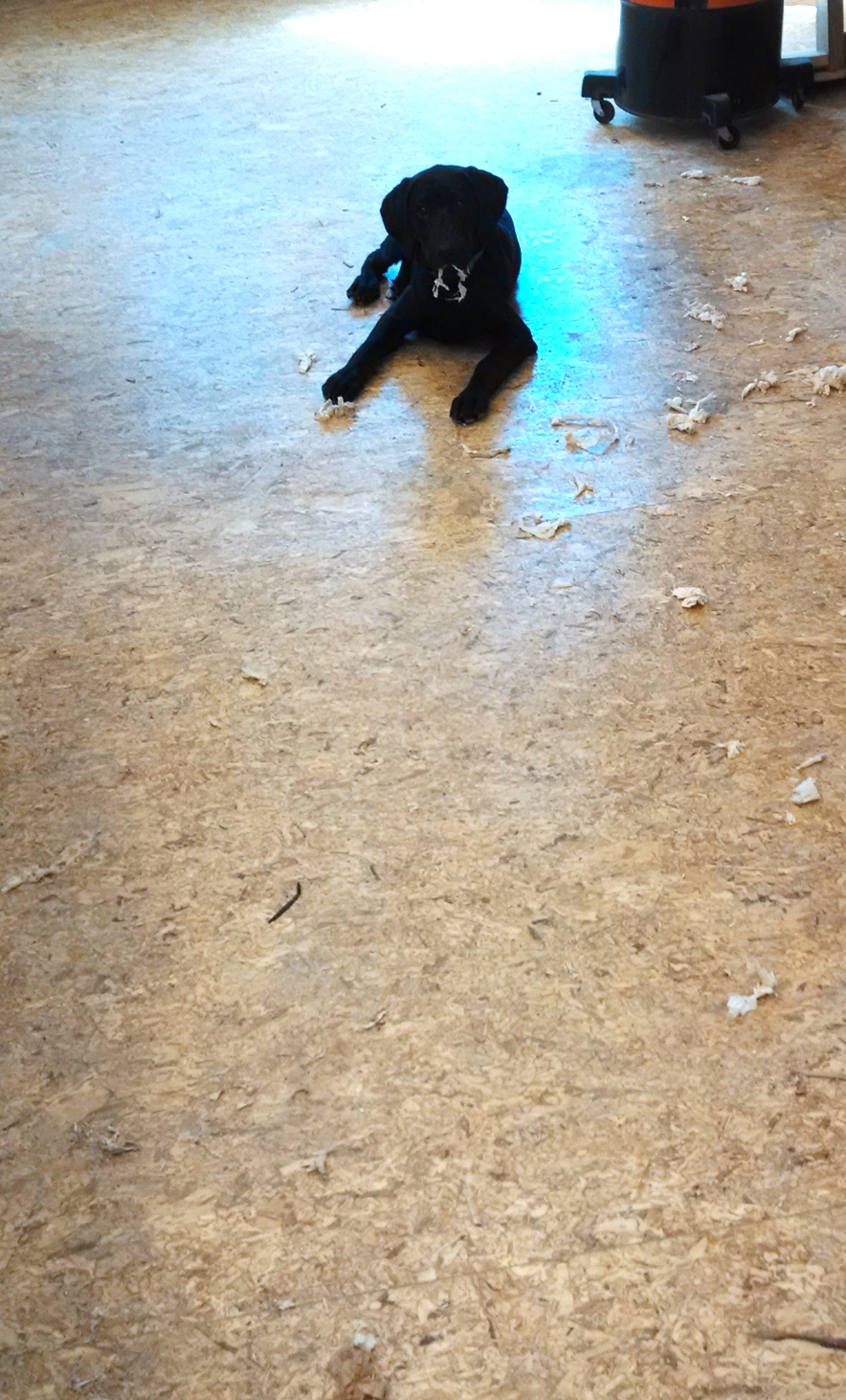 I love being in the shop!