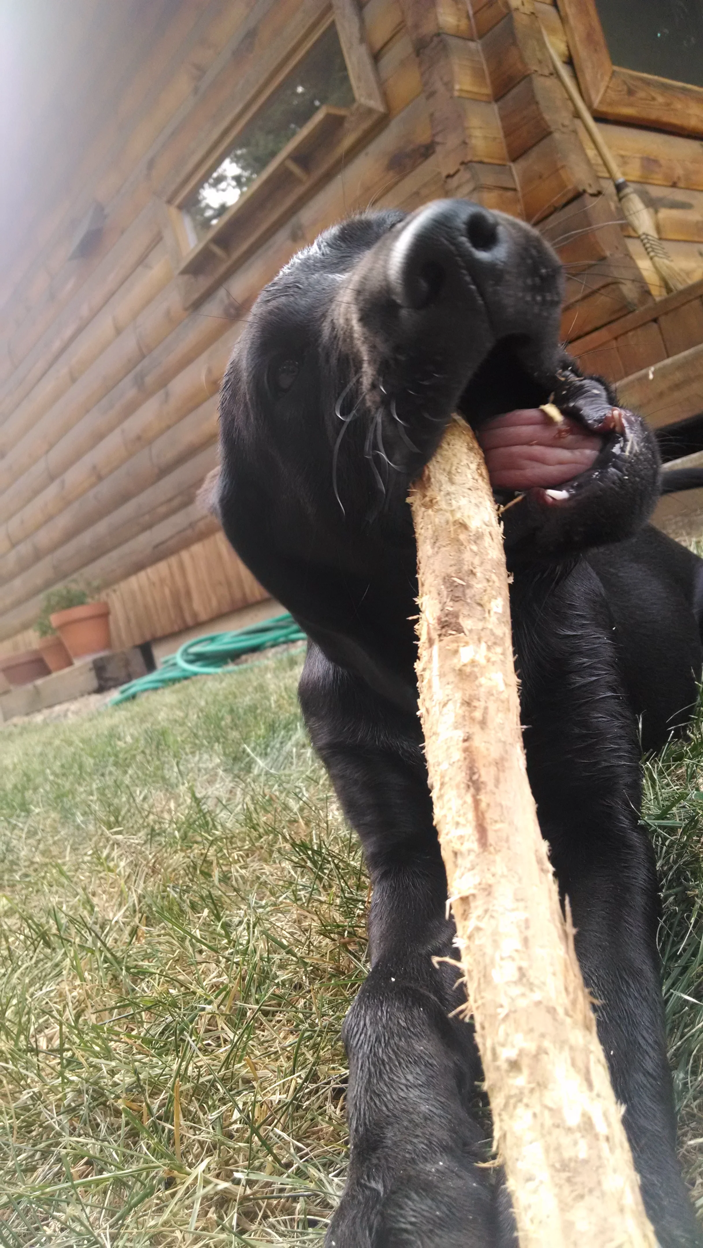Stick artistry