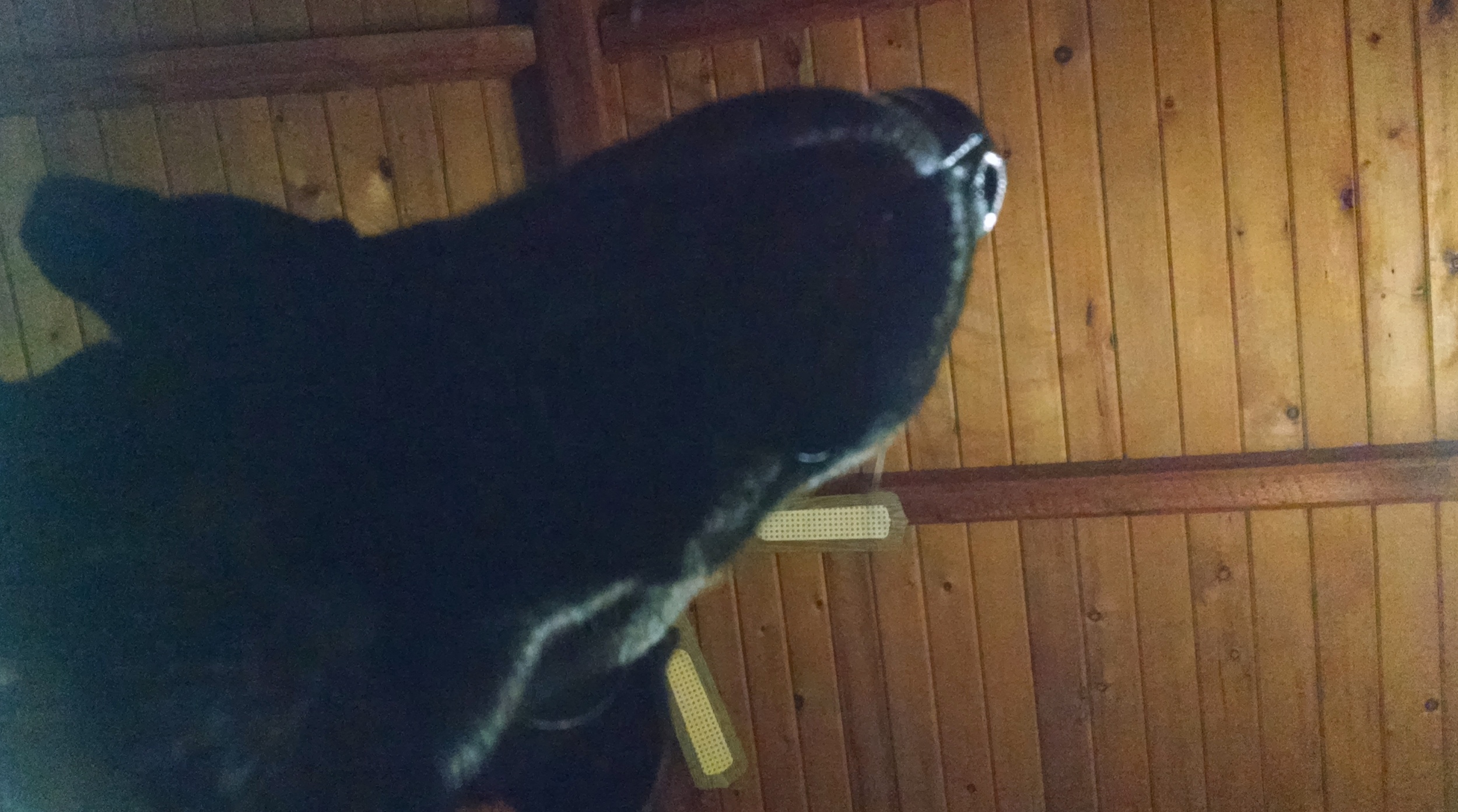 2015-12-01 05.46.27.jpg