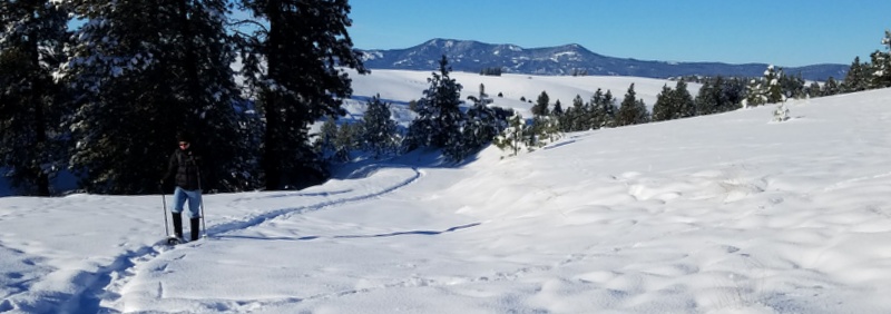 Snowshoeing with Mary a week ago. Example of a choice that lead to a positive experience. 