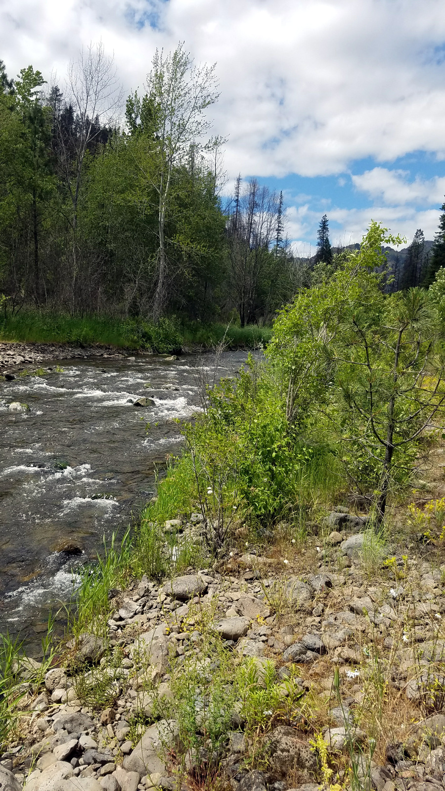 First stop at Crooked Creek.