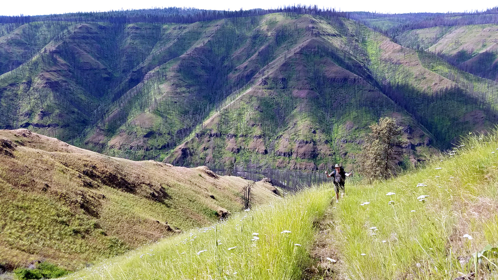 20170614_094749.jpg