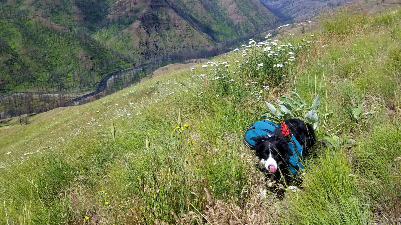 Mike, a little thirsty as we near the top of Smith Ridge. What a fun time.