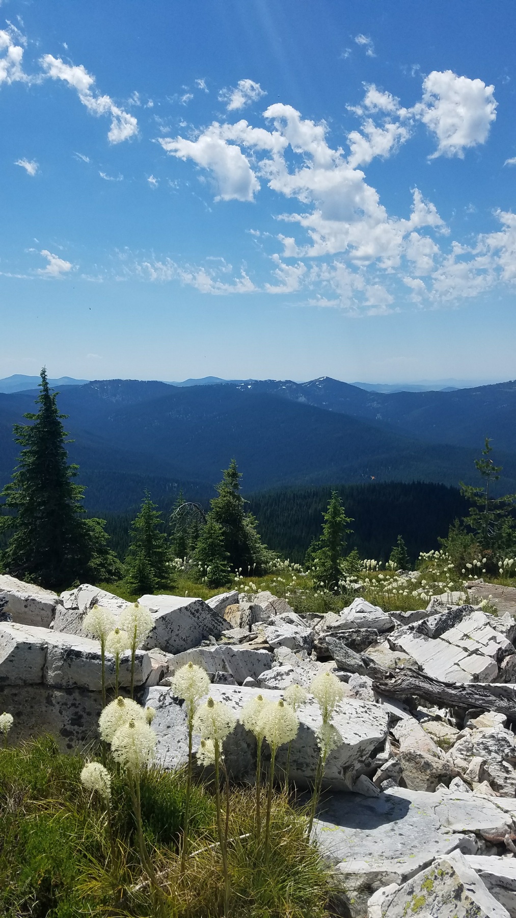 East towards the Bitterroots.