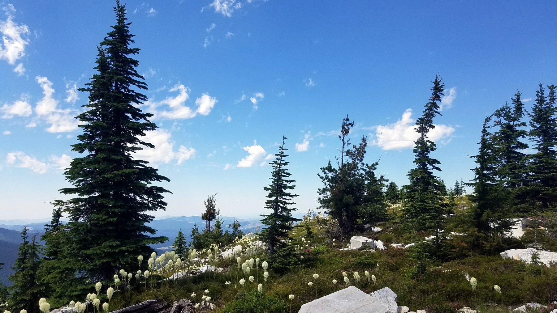 20170706_131435.jpg