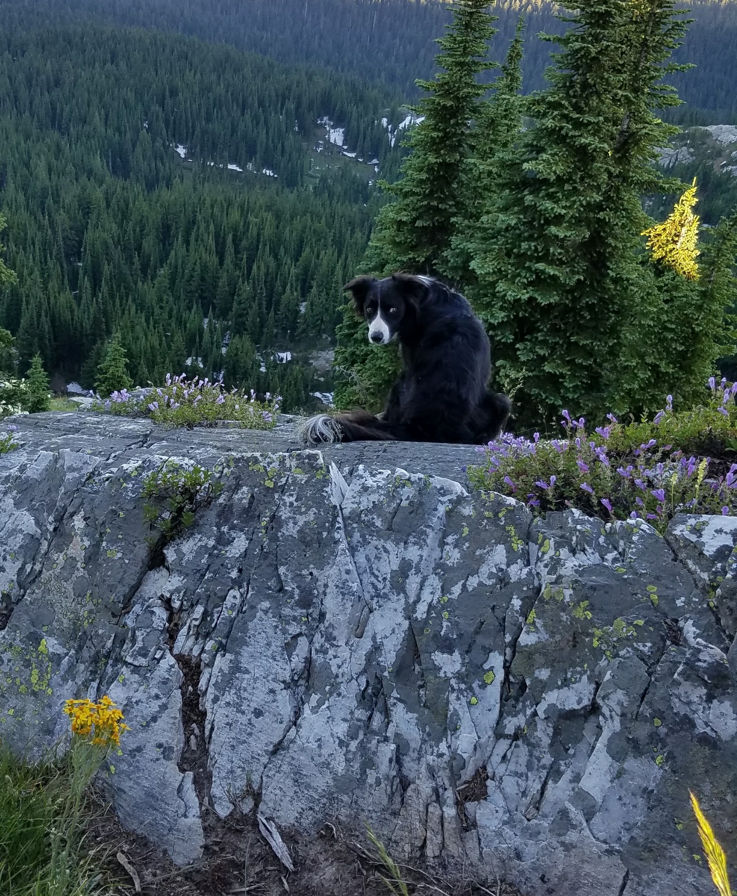 THis is my domain!