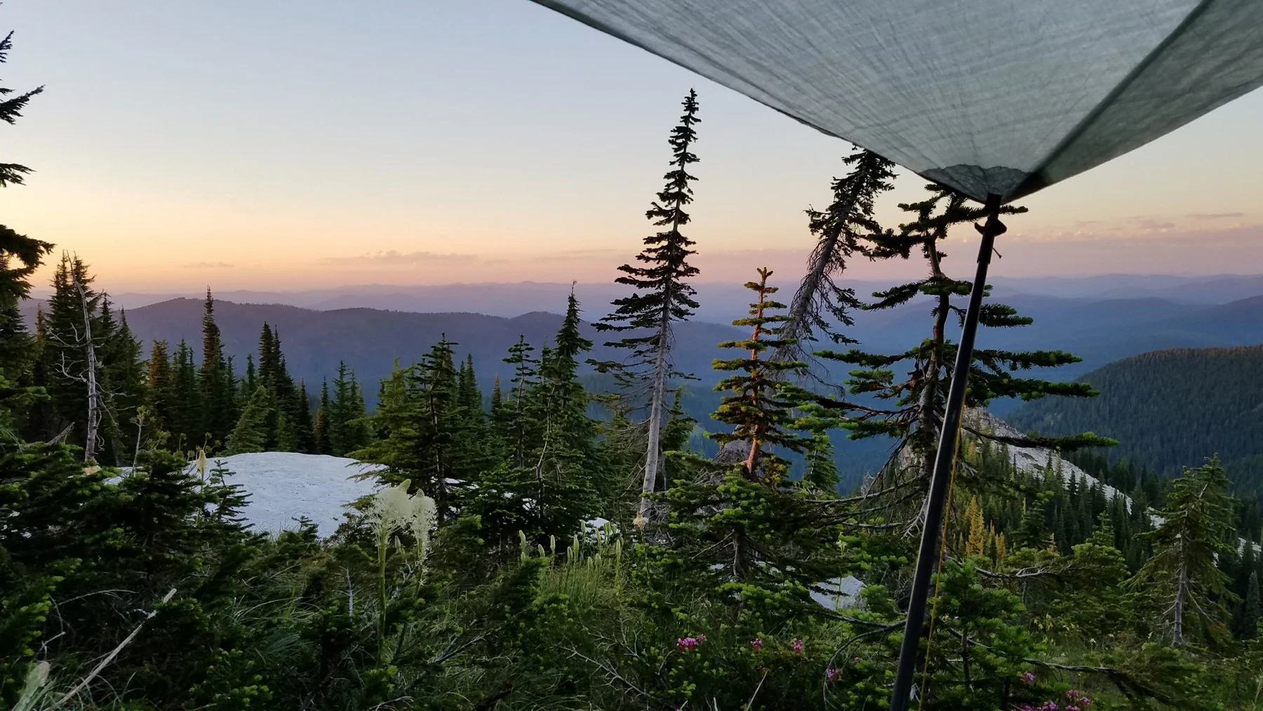 More views from the hammock.