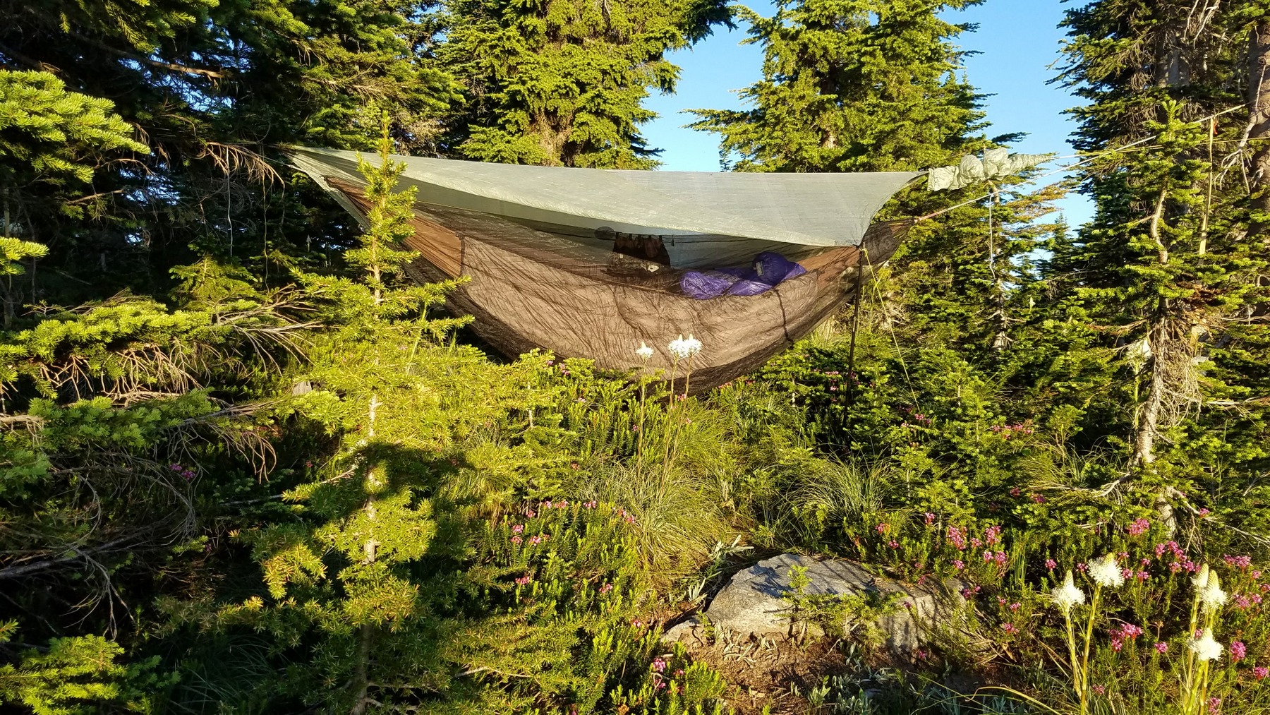  Hammock setup. Dispersed camping.&nbsp; 