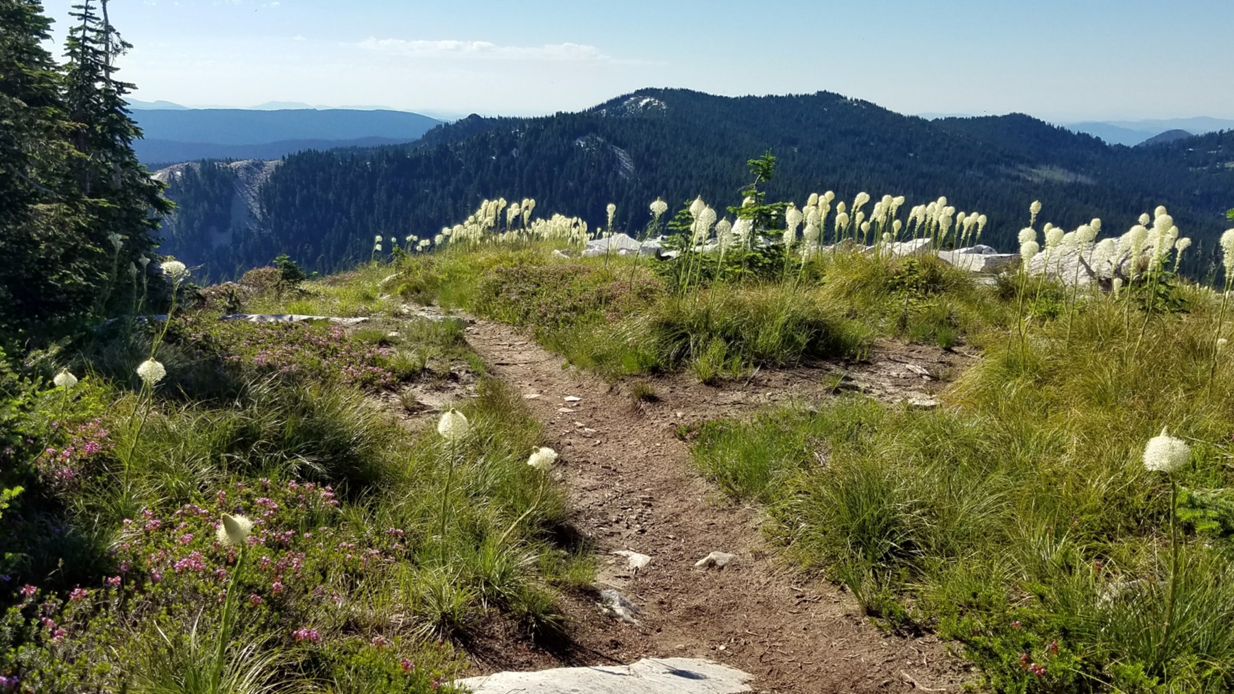 Widow Mountain.