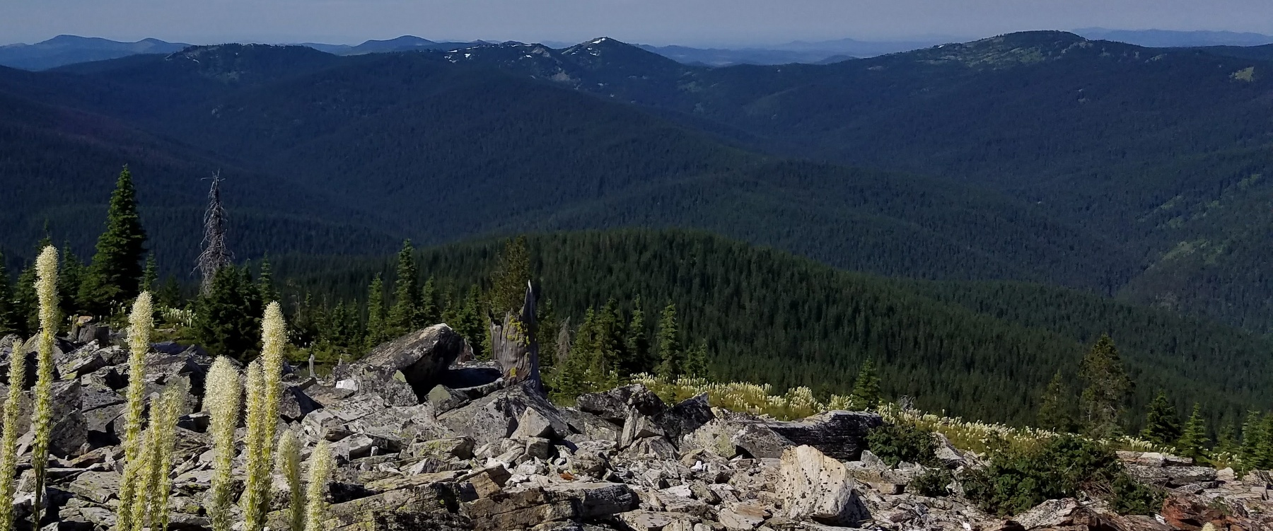  Mark's Butte, Grandmother and Grandfather Mountains. 