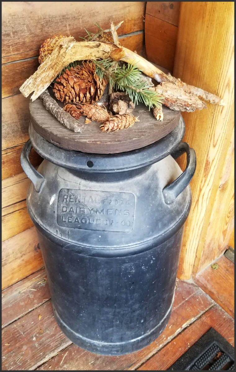 Image by Will Simpson A collection of yard debris Zivon tries to seek into the house.