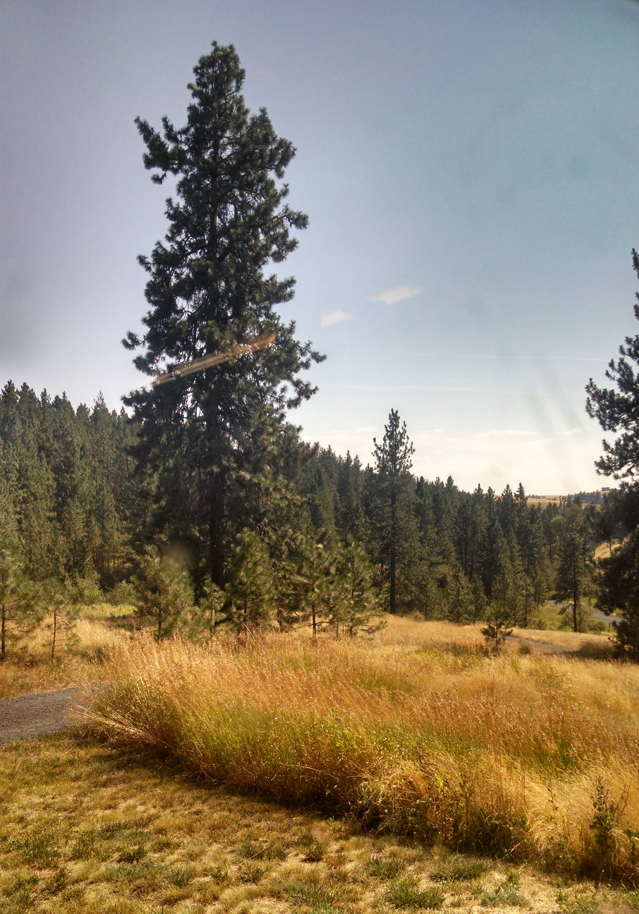 View from the shop.