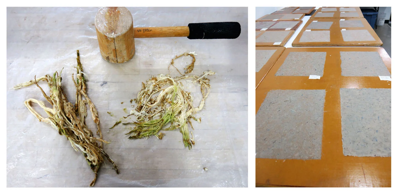 Above left: Tororo Aoi. Above right: papers drying on boards.