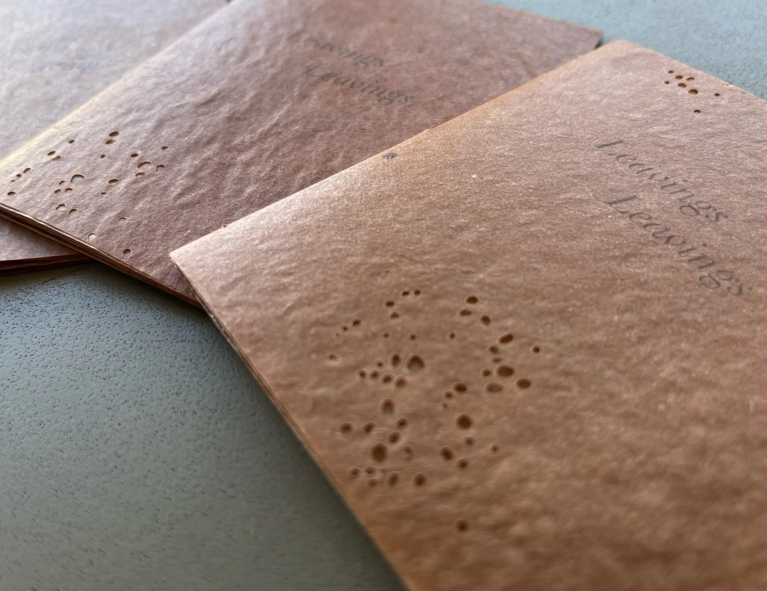 27246A9C-4A31-4FB1-AFBF-1620D8631C8A