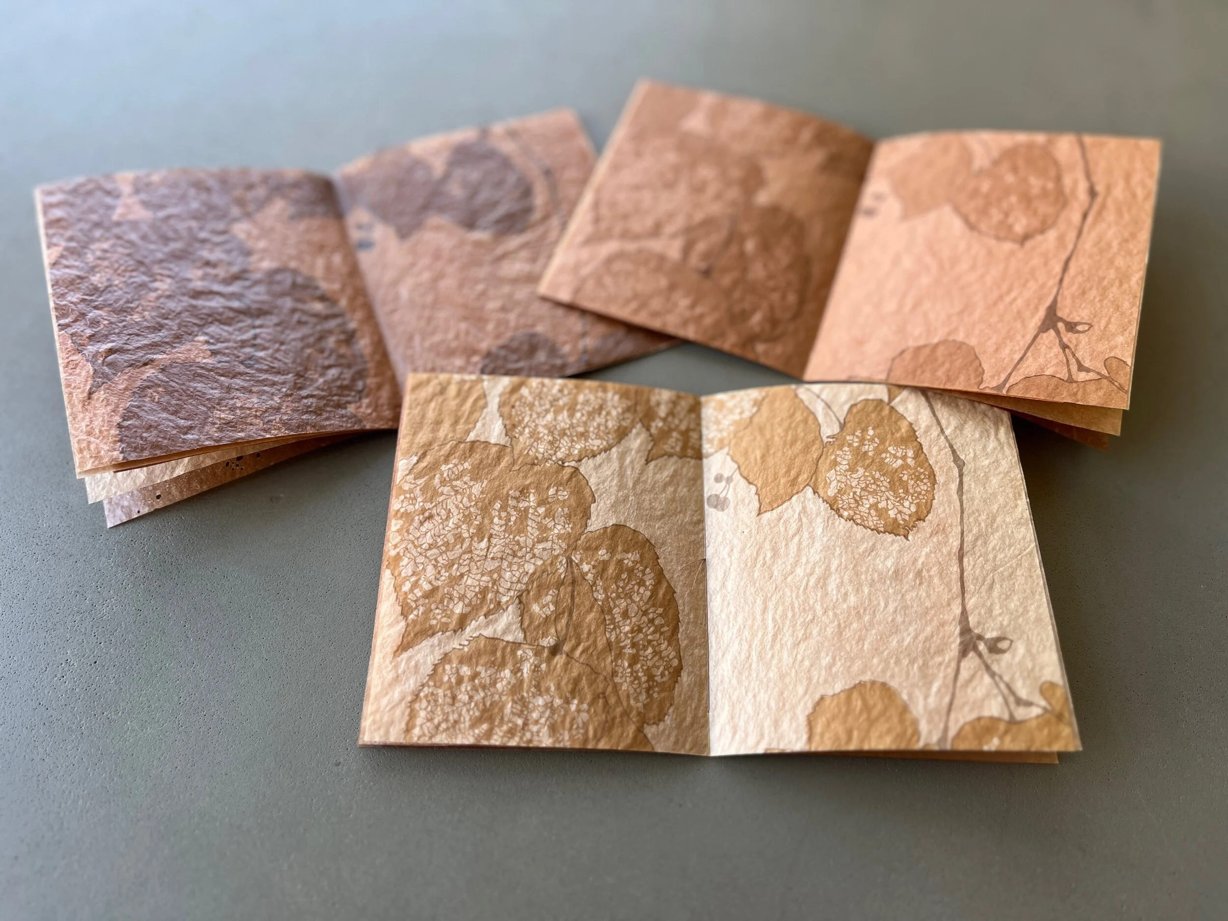 1C8FD5BA-3B7D-455B-81A5-0786F7DD391C