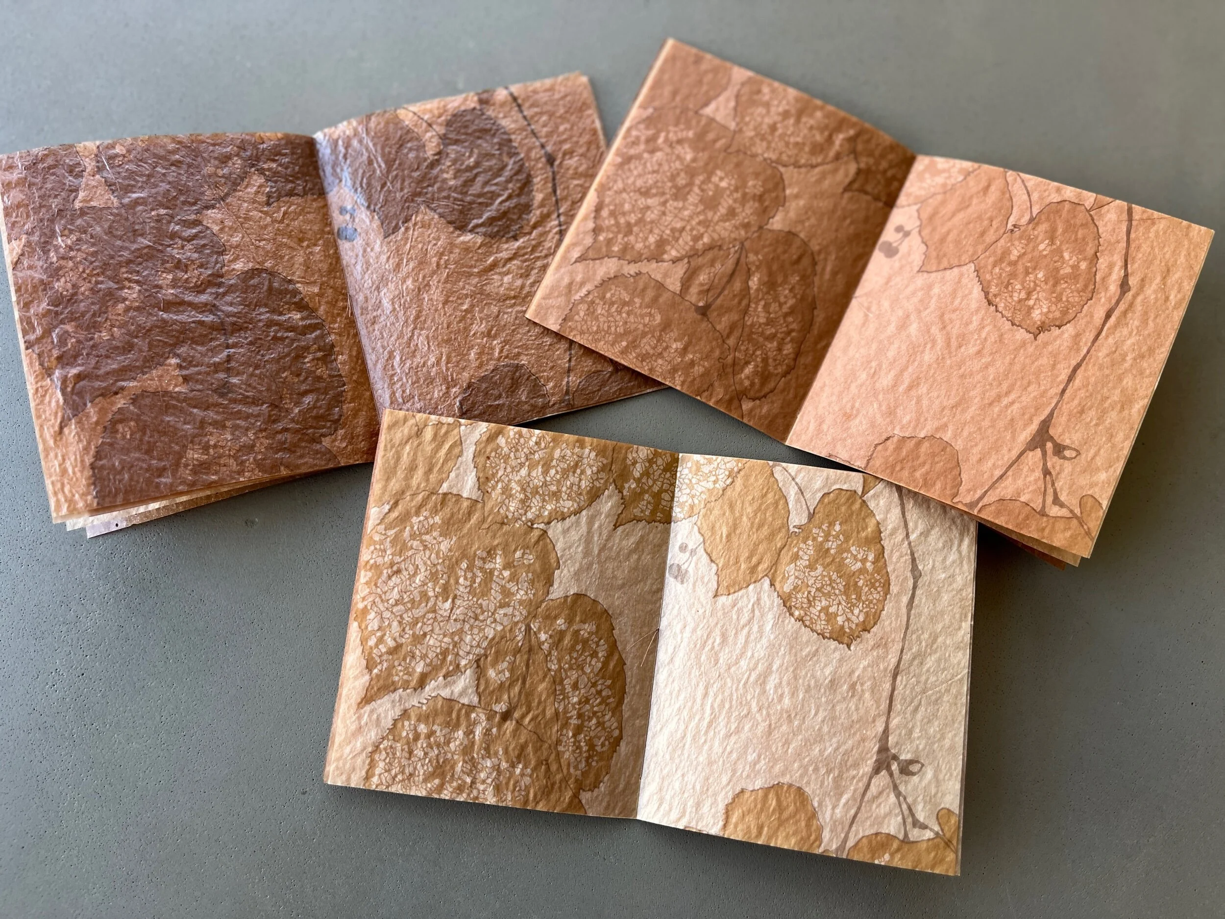 68408437-4C77-4A3D-8055-9B7B0C77131B