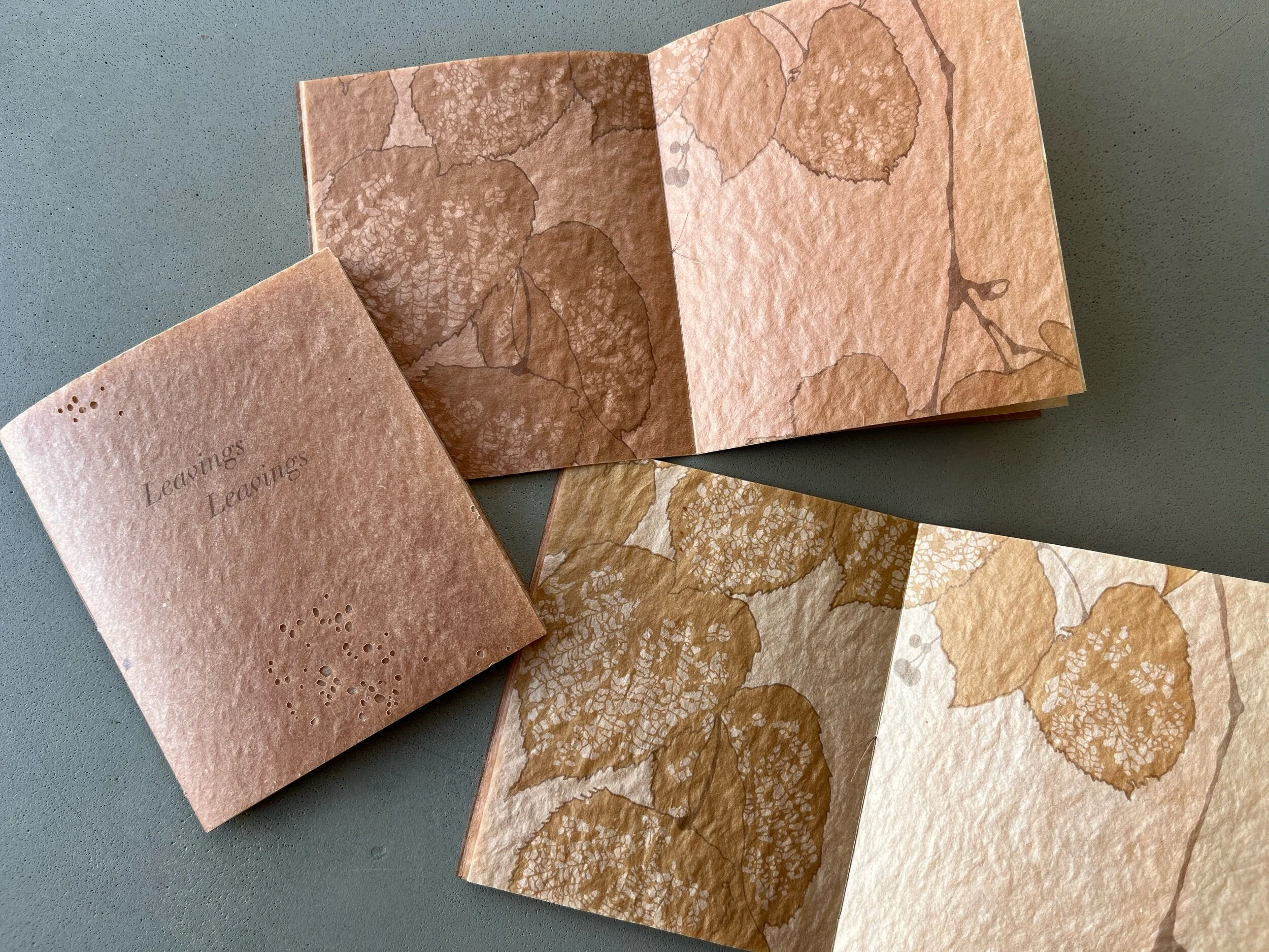 CFD8DF95-6137-42DA-B203-C1087ADE88DE