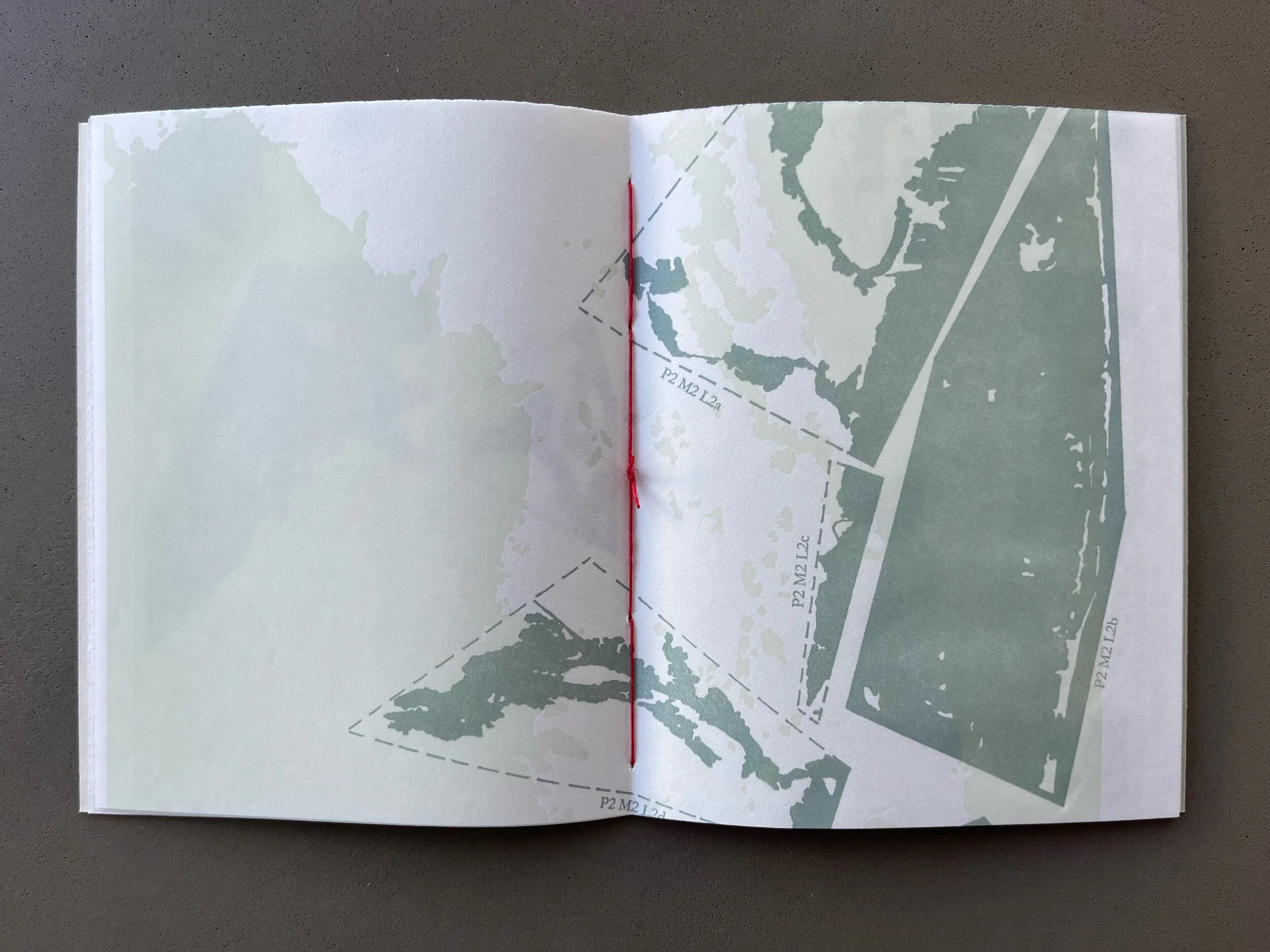 1569A073-EF5C-4EB8-99D9-001E994F0969