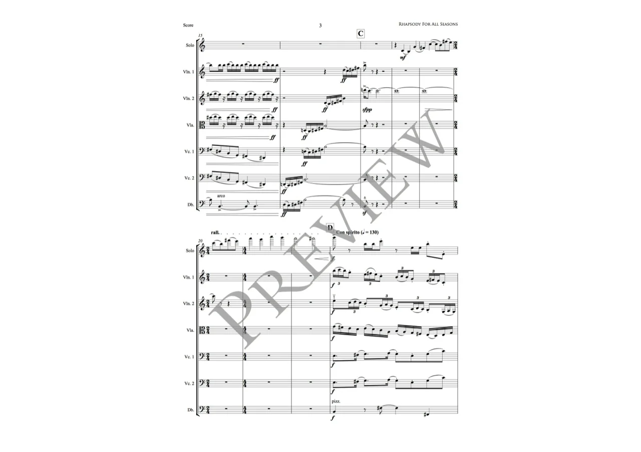 Rhapsody For All Seasons PREVIEW (Page 3).jpg
