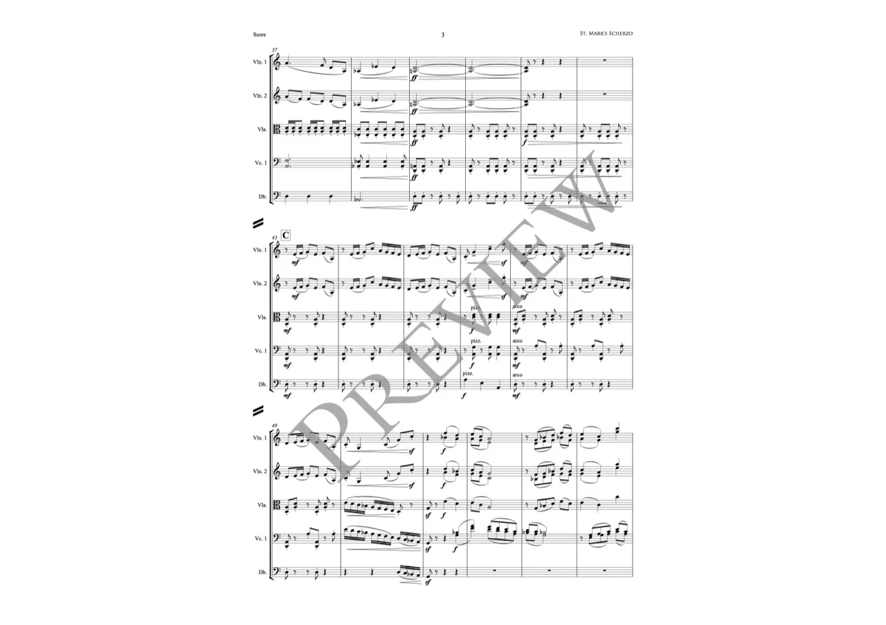 St. Mark's Scherzo PREVIEW (Page 3).jpg
