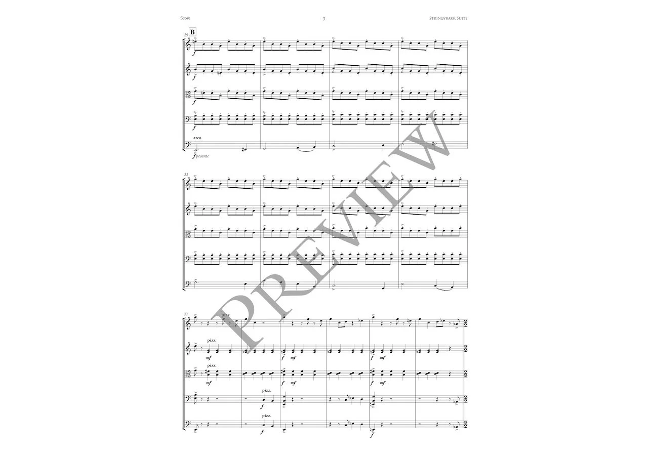 Stringybark Suite PREVIEW (Page 3).jpg