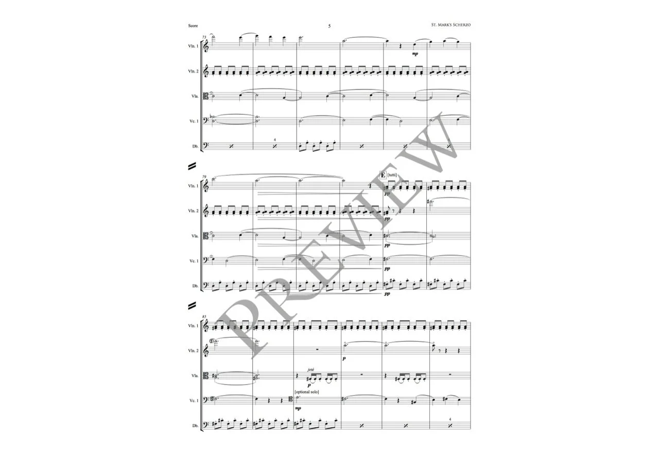 St. Mark's Scherzo PREVIEW (Page 5).jpg