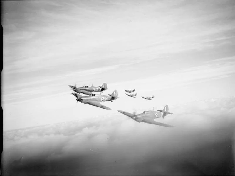 Sea Hurricanes fly in formation.