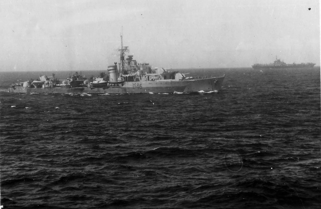 Tenacious-Obdurate Indomtable - sumatra.JPG