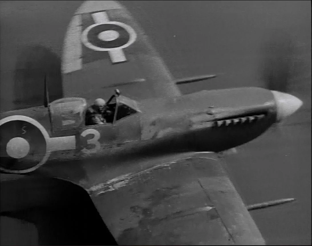 A Seafire III lands aboard an unidentified carrier. The lighter tone of the aerilon and wingtip on the left wing is not a specific marking. Carrier mechanics say such miss-matched panels were simply spares which had not been painted to Pacific Fleet standards..
