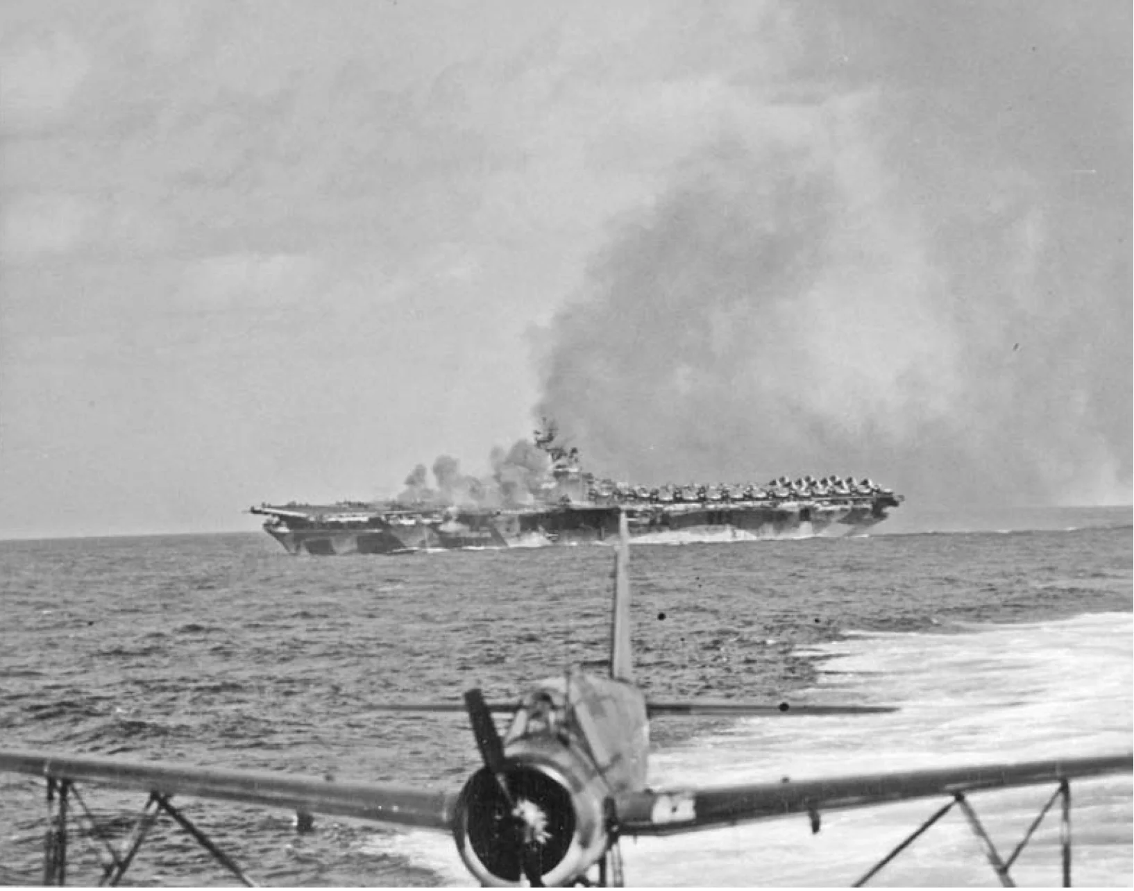 Critique: Submitted by David Anderson