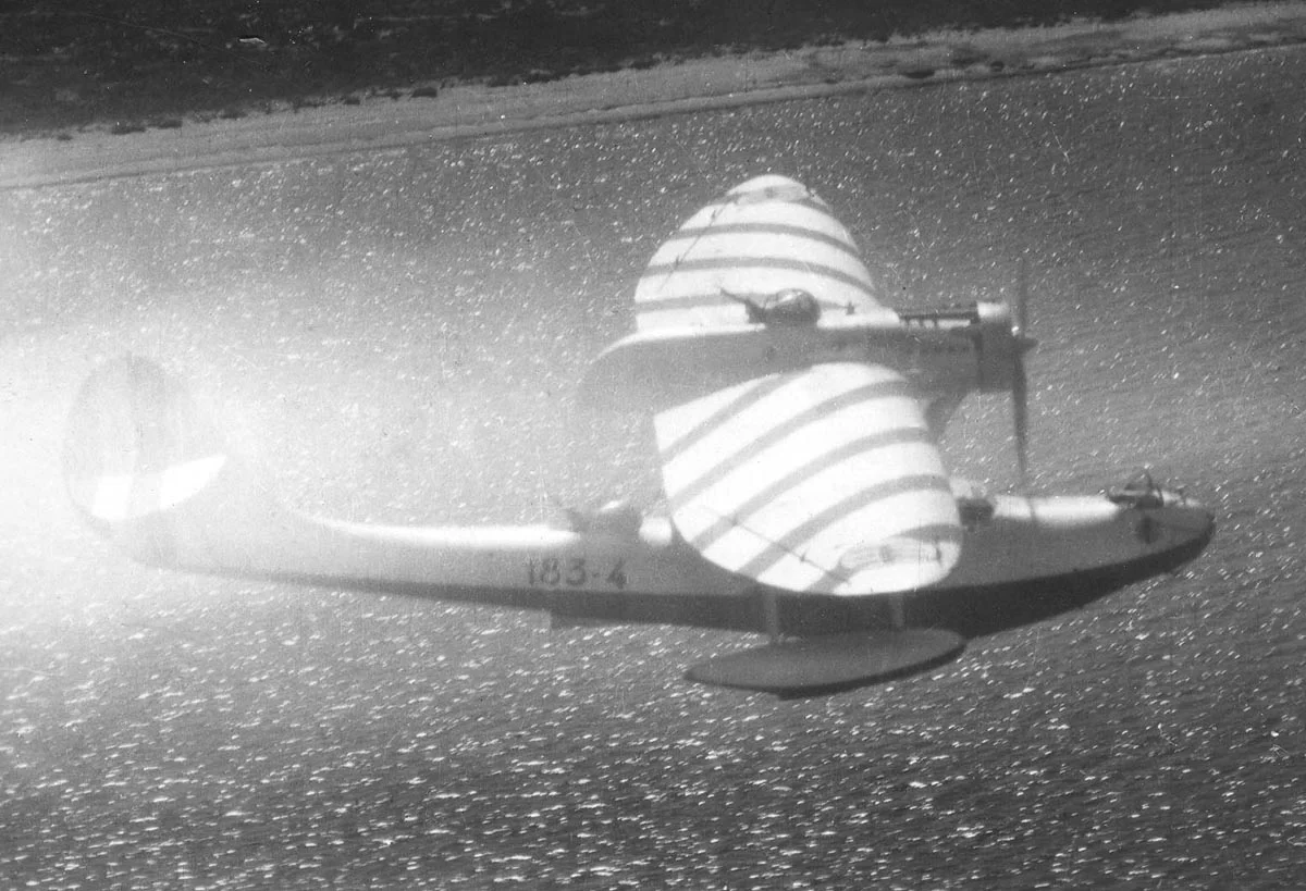 An Italian Cant 501 seaplane.