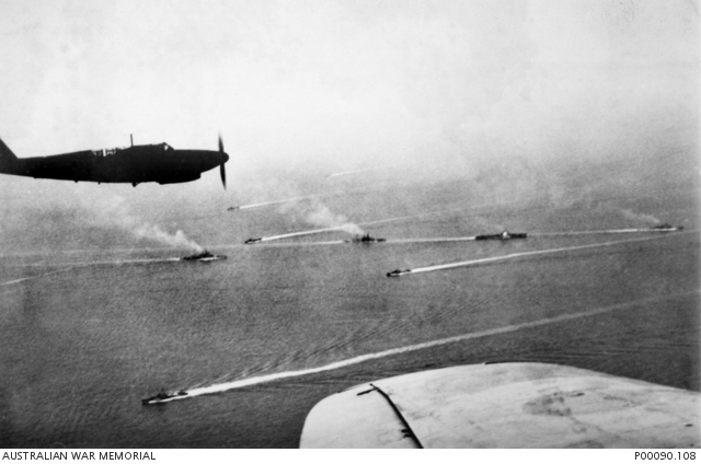 Fulmars over the battle fleet.