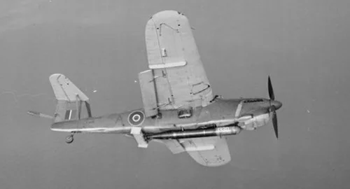 Barracuda.jpg