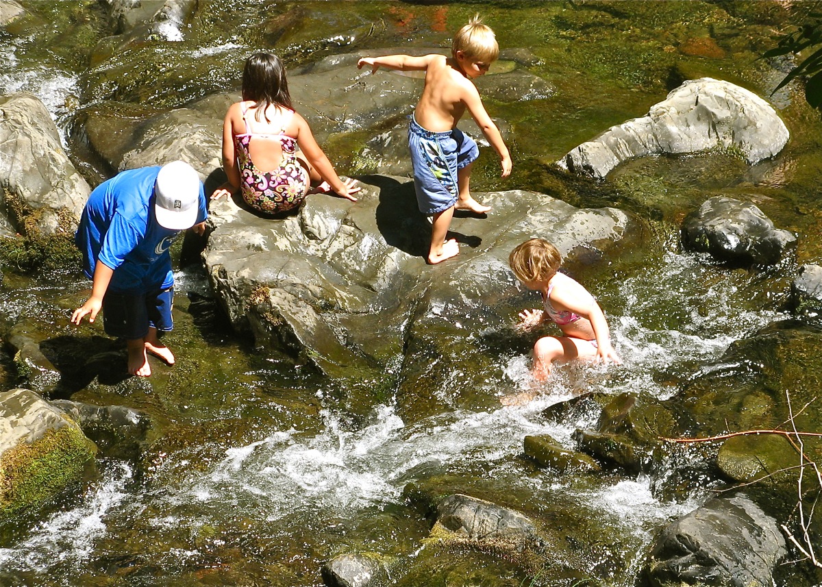 Summer Fun in the Creek
