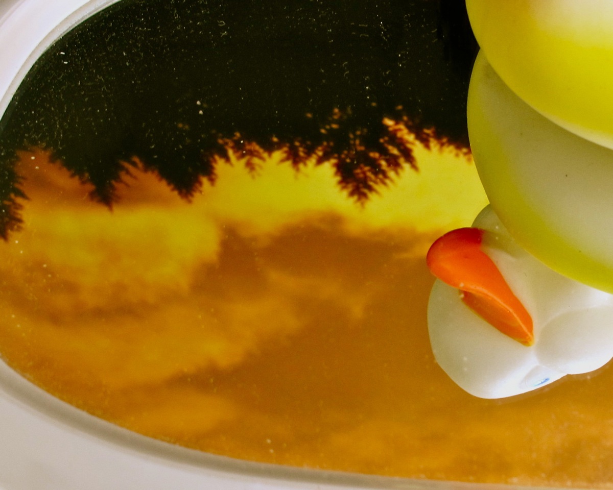 Ducking a Landscape