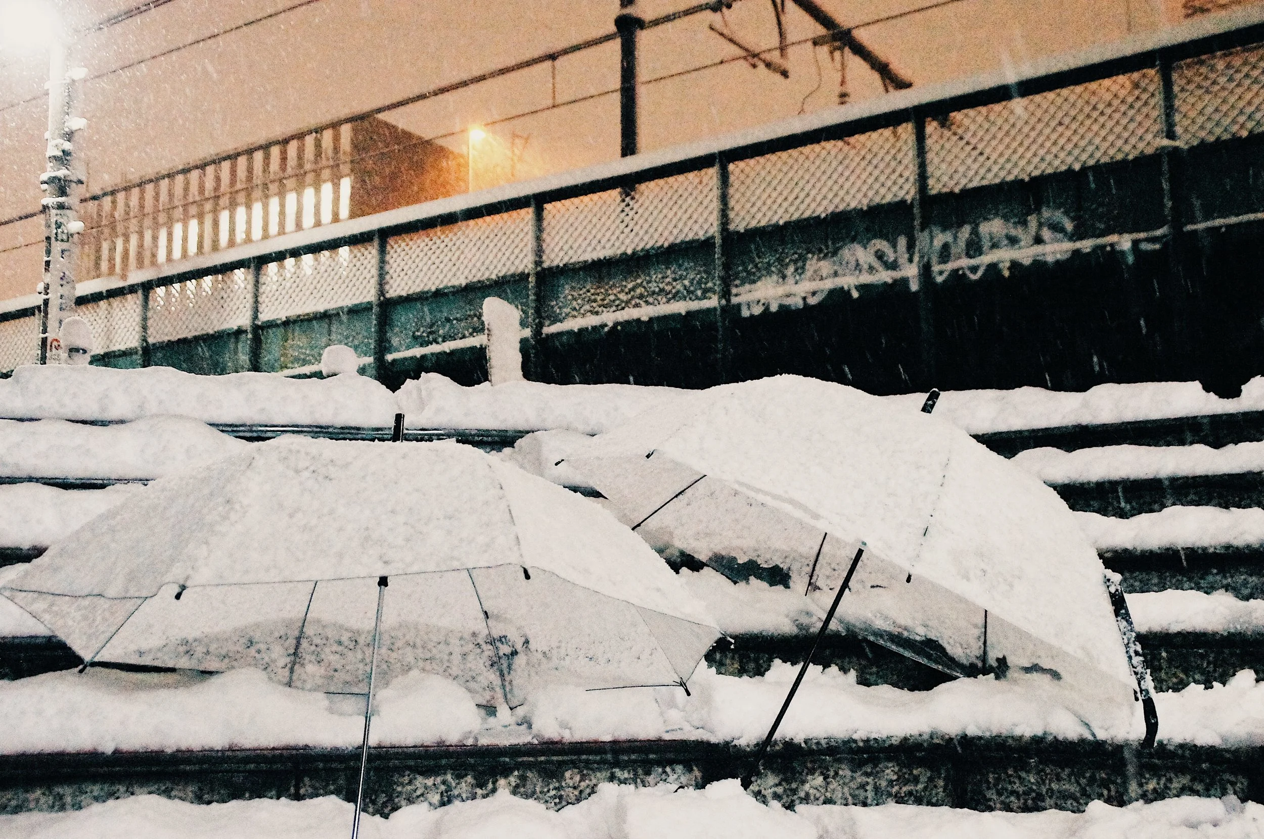 大雪の中で冒険してみたり