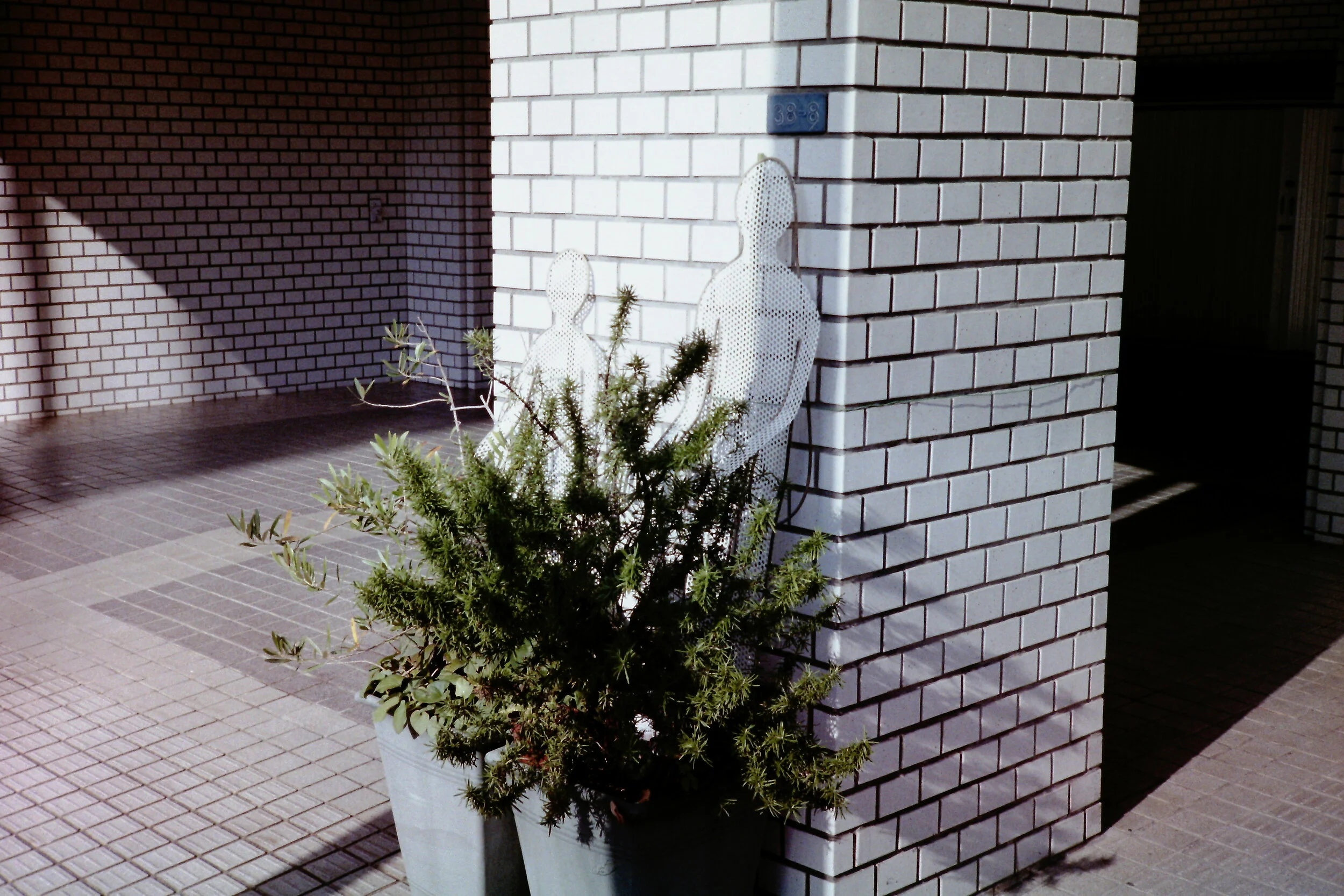 PICT0065.JPG