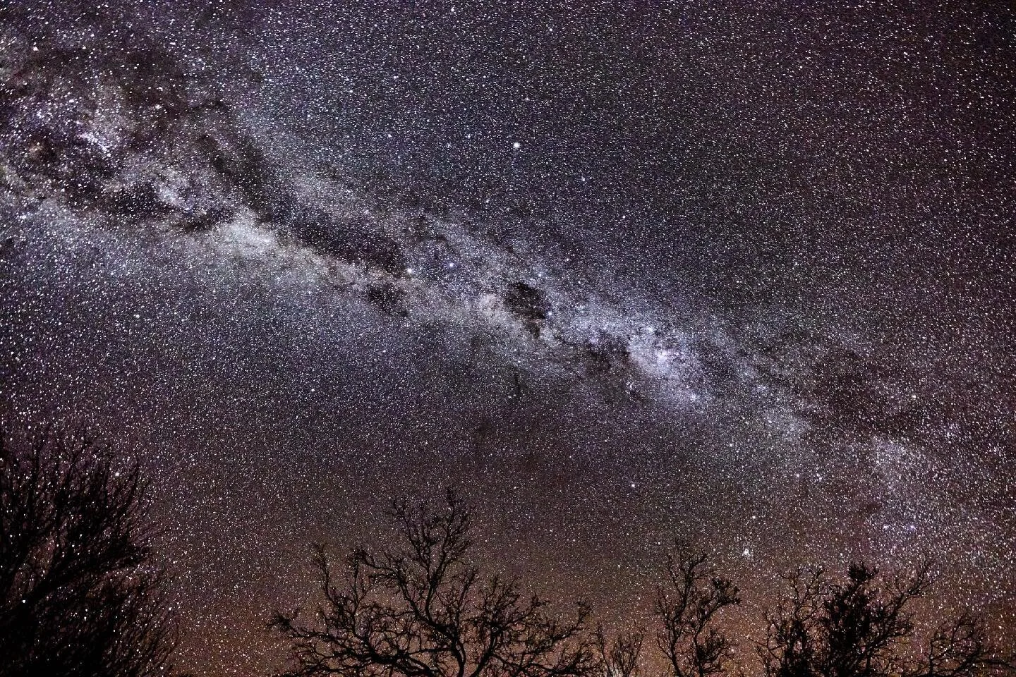 The sky at 4am in the outback still defies my comprehension. Canon 5D IV lens 16-35 F2.8 @ 25 secs and 3200 iso.  #tibooburra #astrophotography #australia #cosmic