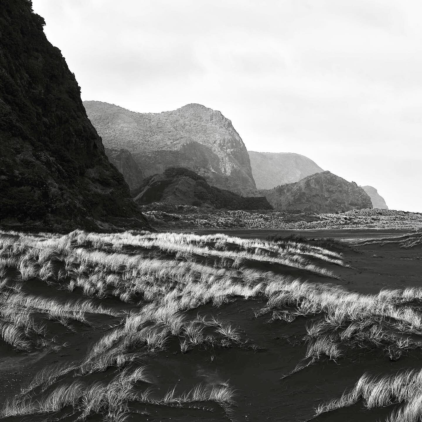 Back in lockdown in Sydney, this magical scene now seems a world away.  If you can, take any opportunity to see your beautiful country wherever and whenever you are able. #aotearoa #westcoast #blacksandbeach #blackandwhite