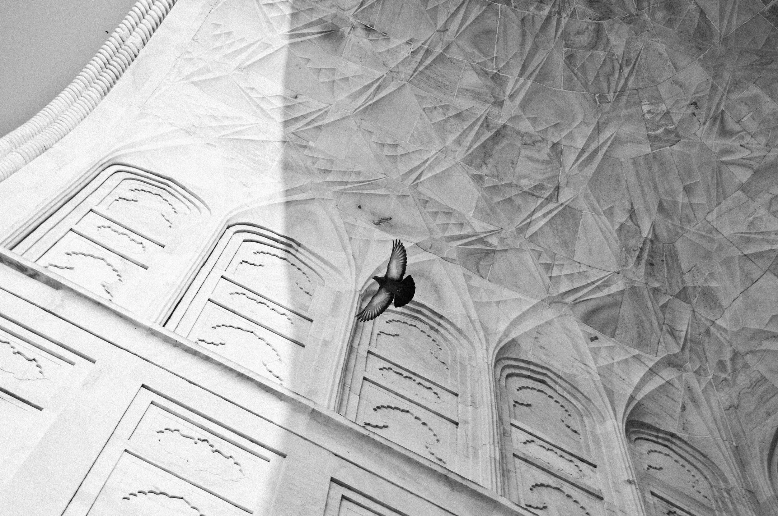 India Book73 copy.jpg