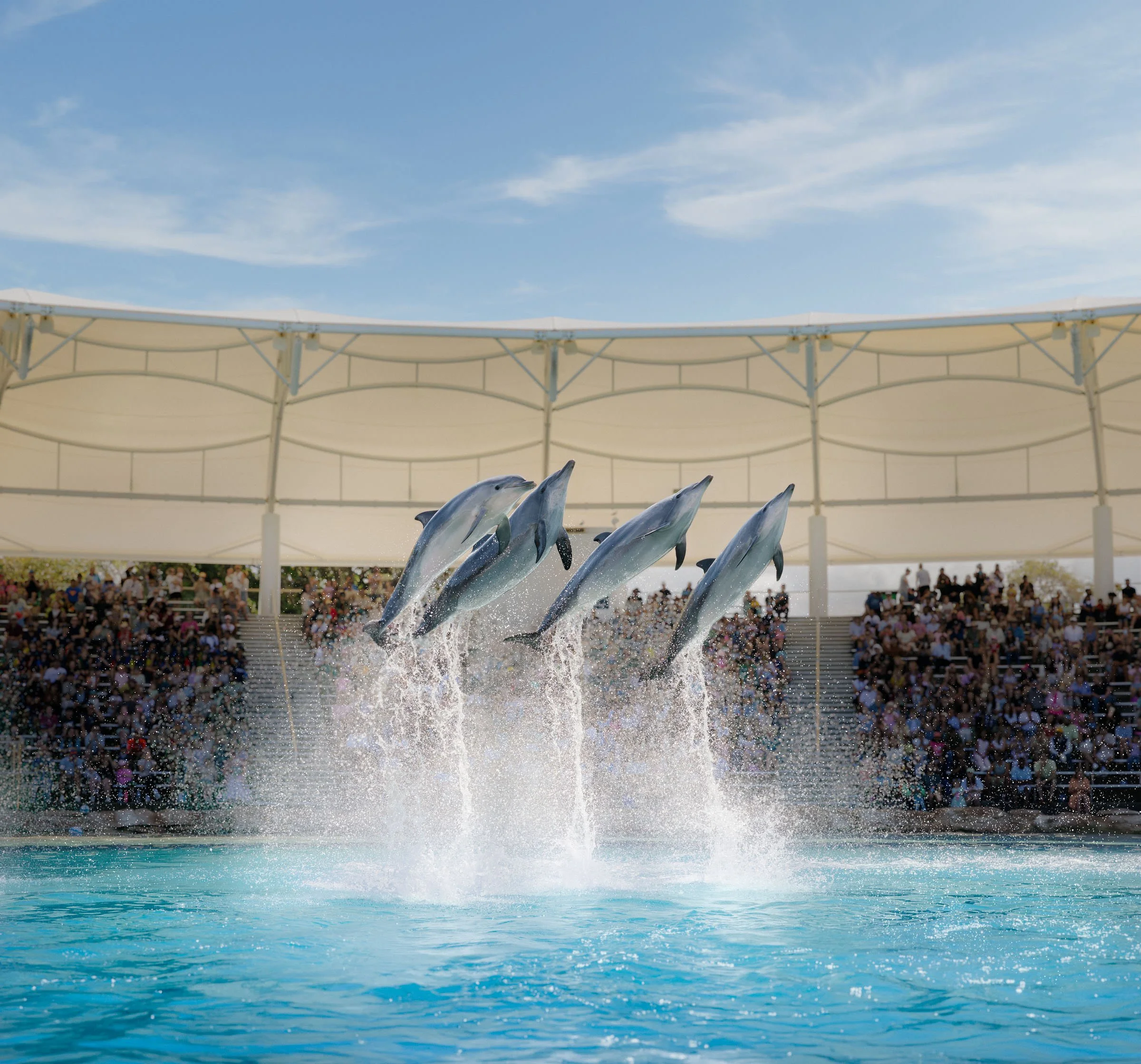 theme-park-gold-coast-photography-paul-bamford49.jpg
